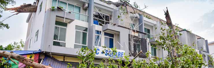 ACE Summer Newsletter